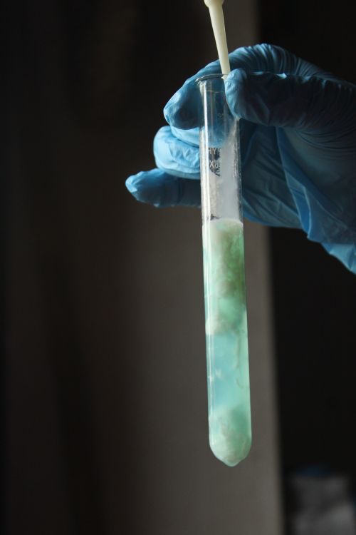Free Test tube filled with blue liquid held by gloved hand, showcasing a scientific experiment. Stock Photo