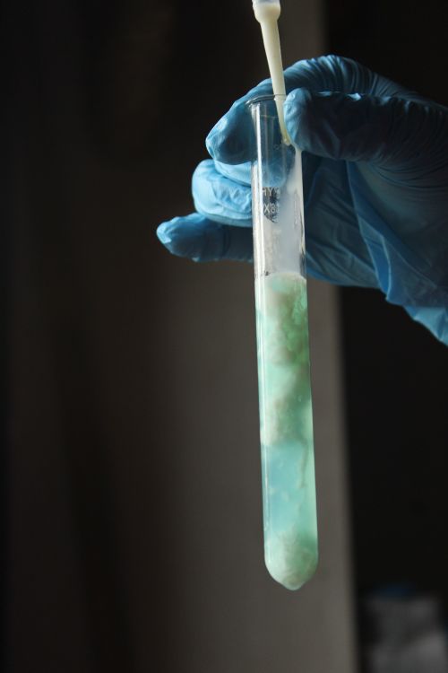 Free Close-up of a scientist's hand in gloves holding a test tube with a blue solution. Stock Photo