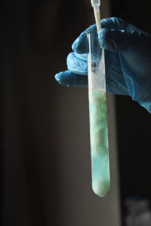 Free Close-up of a scientist's hand holding a test tube with a blue liquid. Stock Photo