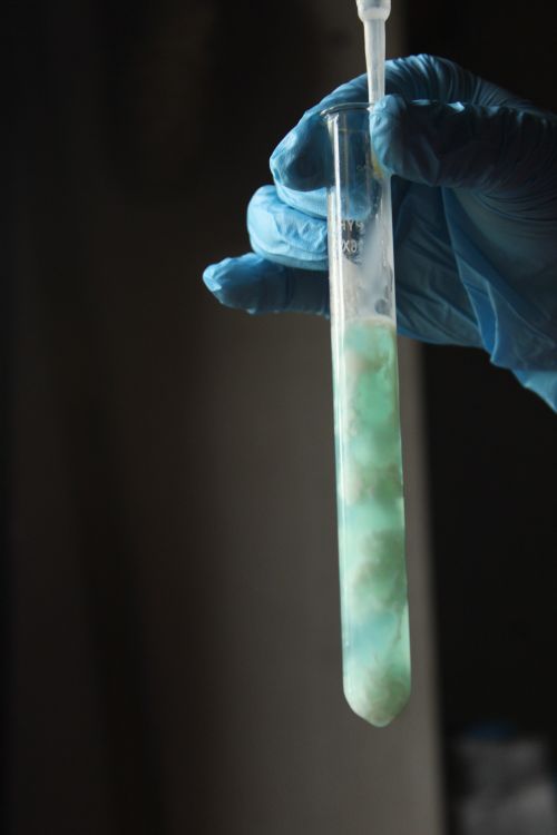 Free Close-up of a hand in gloves holding a test tube with blue-green solution. Stock Photo