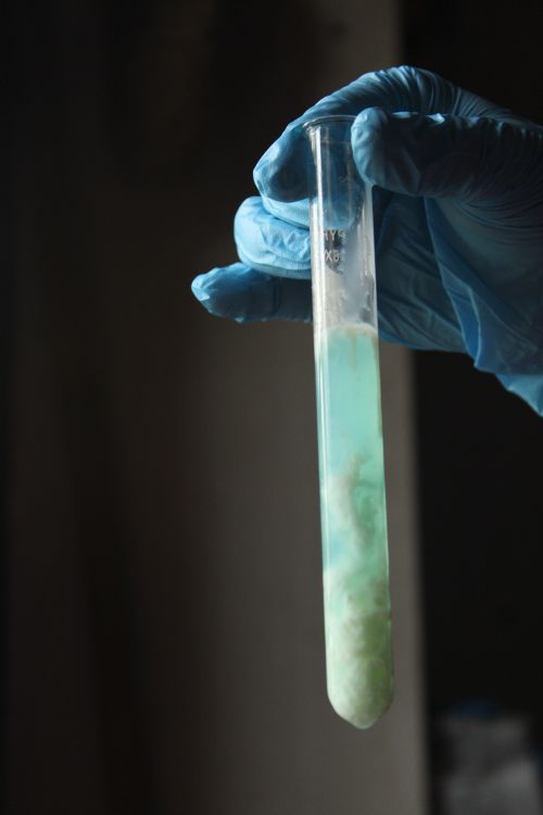 Free Gloved hand holding a test tube with green chemical in a lab setting. Stock Photo