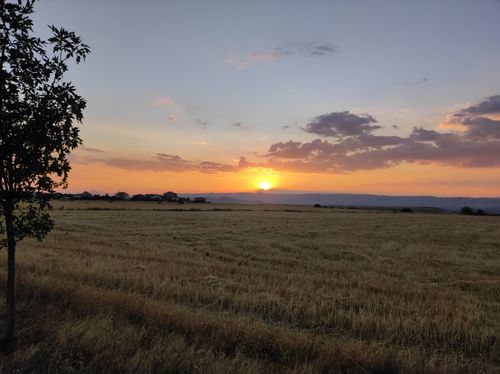 Free Breathtaking sunset over a wheat field in Vekse, Kayseri, offering a serene and tranquil landscape view. Stock Photo