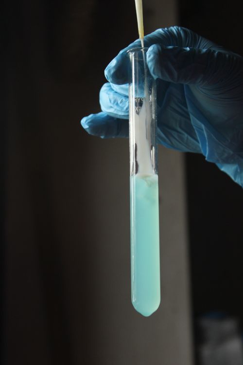 Free Gloved hand holding a test tube filled with light blue liquid in laboratory setting. Stock Photo