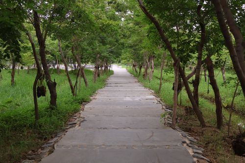 Free A peaceful stone path flanked by lush trees and grass, ideal for relaxation and nature walks. Stock Photo