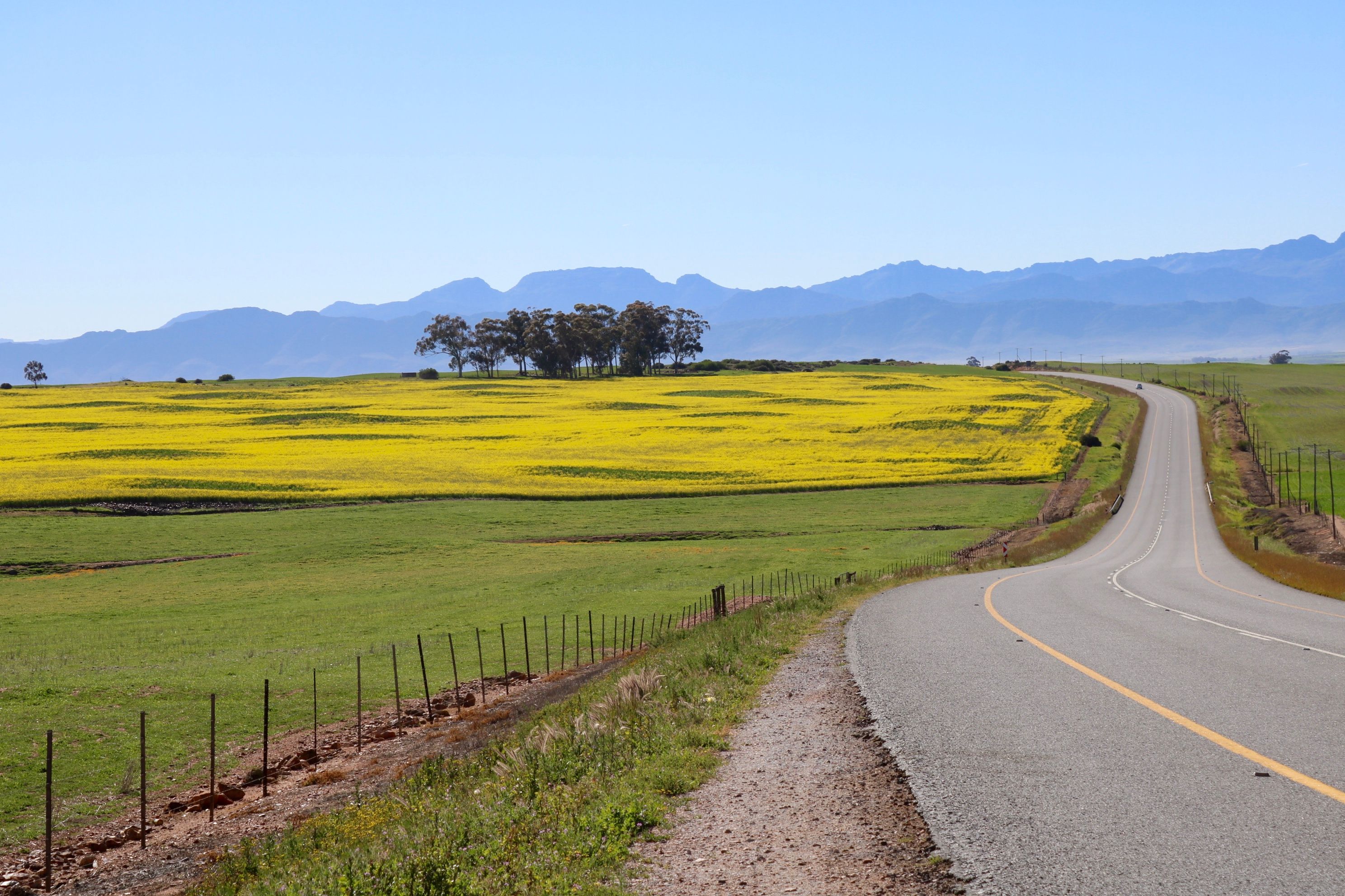 Taste the Road: A Culinary Road‑Trip Guide for New Retirees