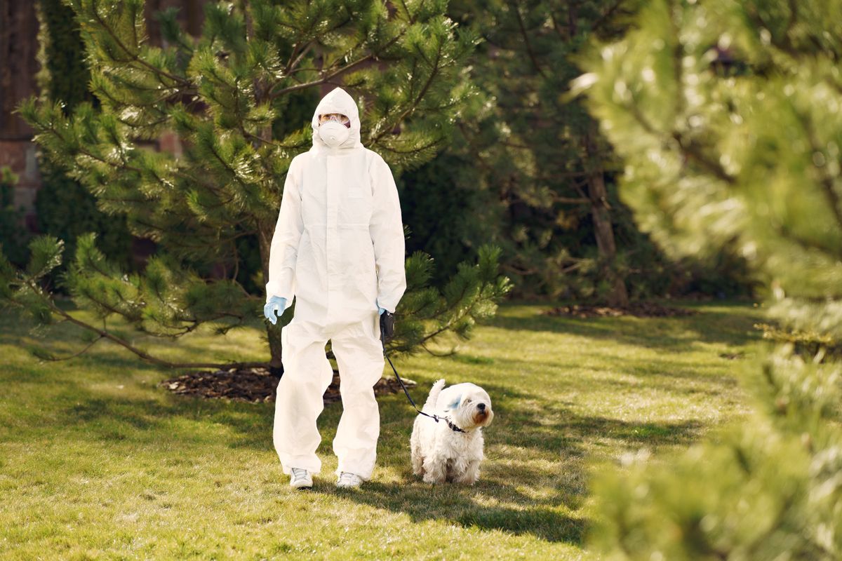 Doo Doo Buds technician providing pet waste disposal on a Knightsville lawn