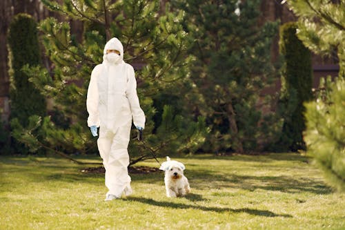 Person in White Protective Suit Walking on Green Grass Field with White Dog