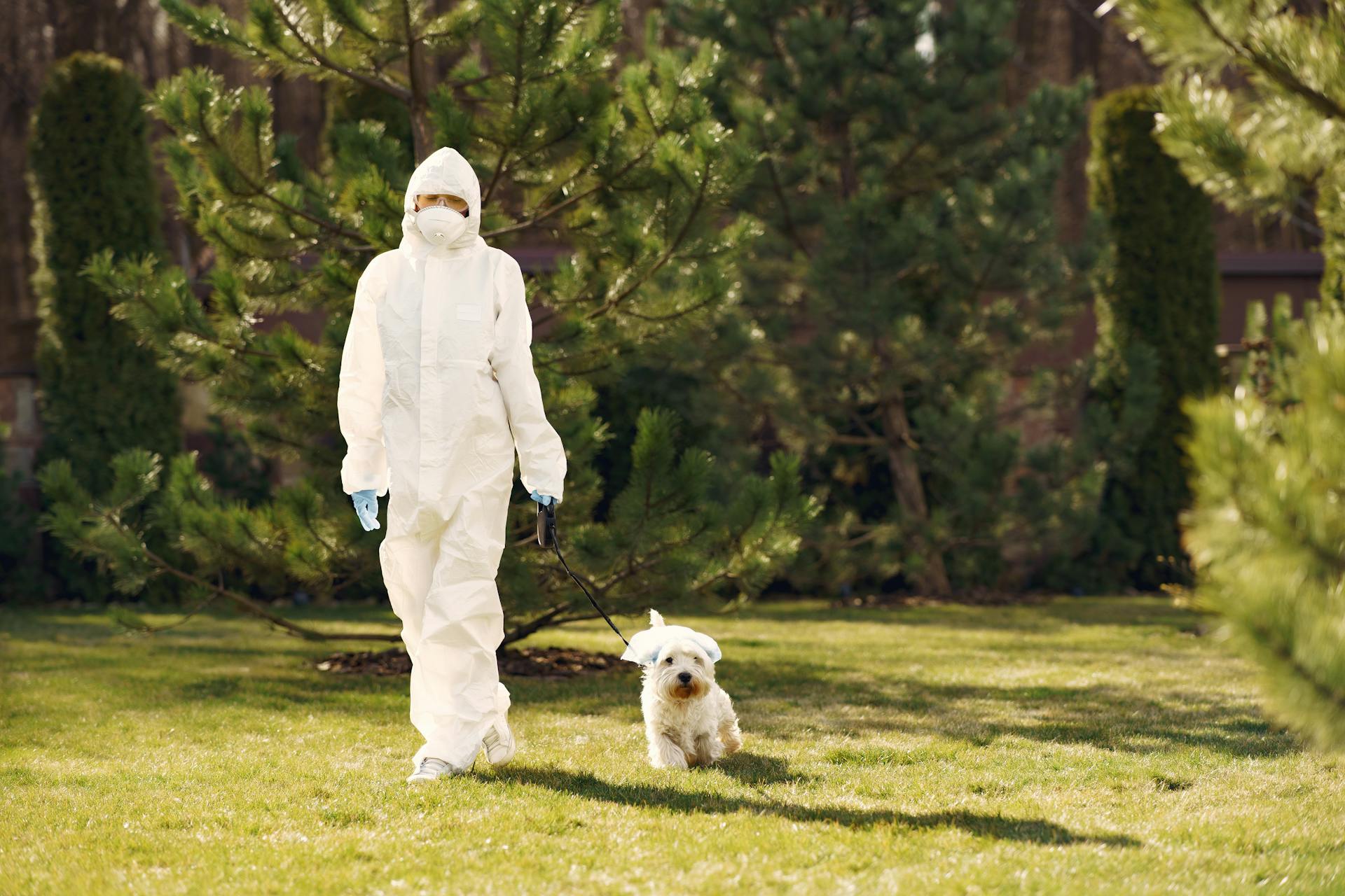 Person in White Protective Suit Walking on Green Grass Field with White Dog