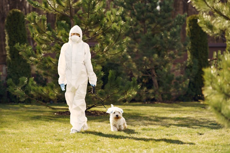 Person In White Protective Suit Walking On Green Grass Field With White Dog