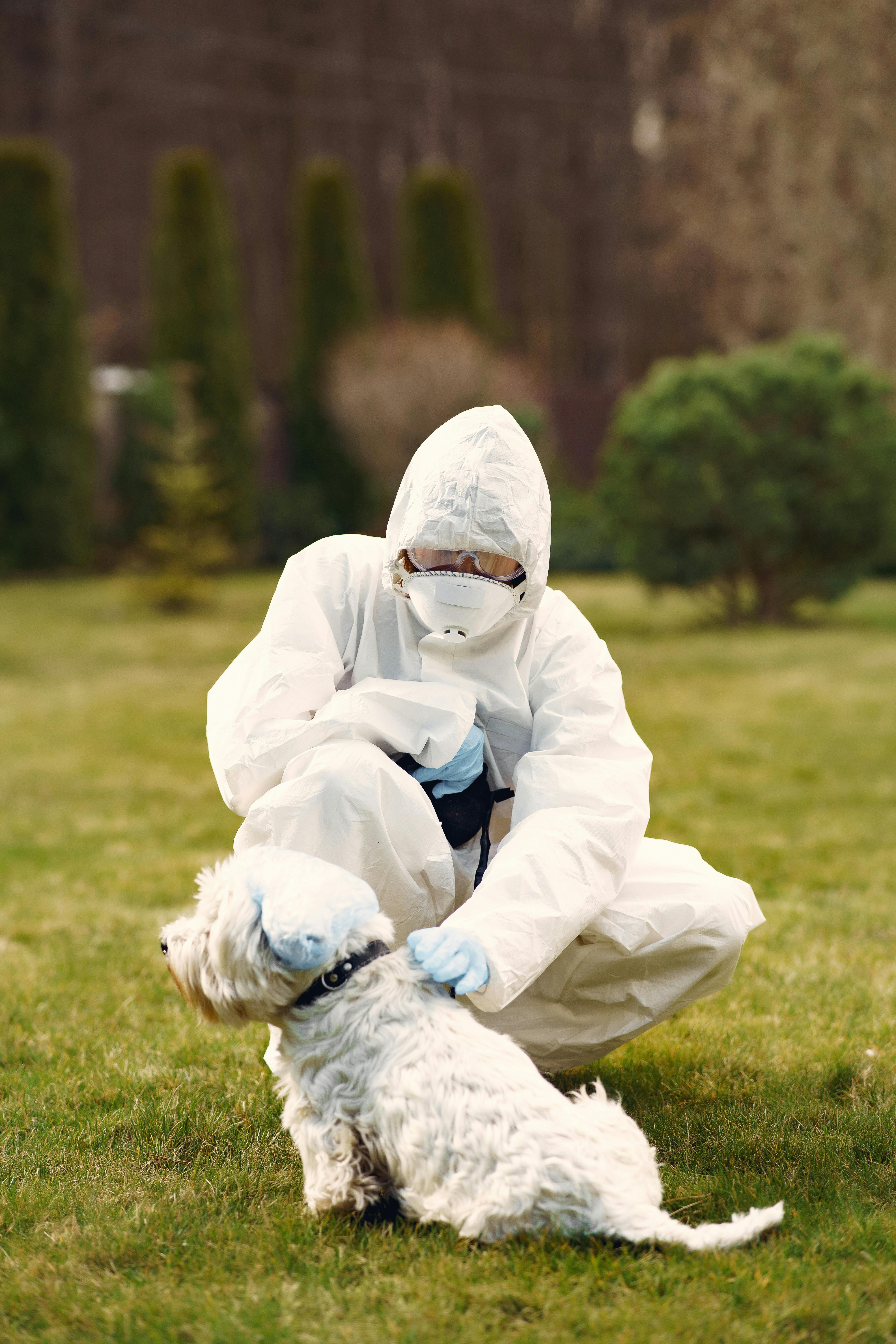 Person in White Protective Suit Sitting on Green Grass with White Dog