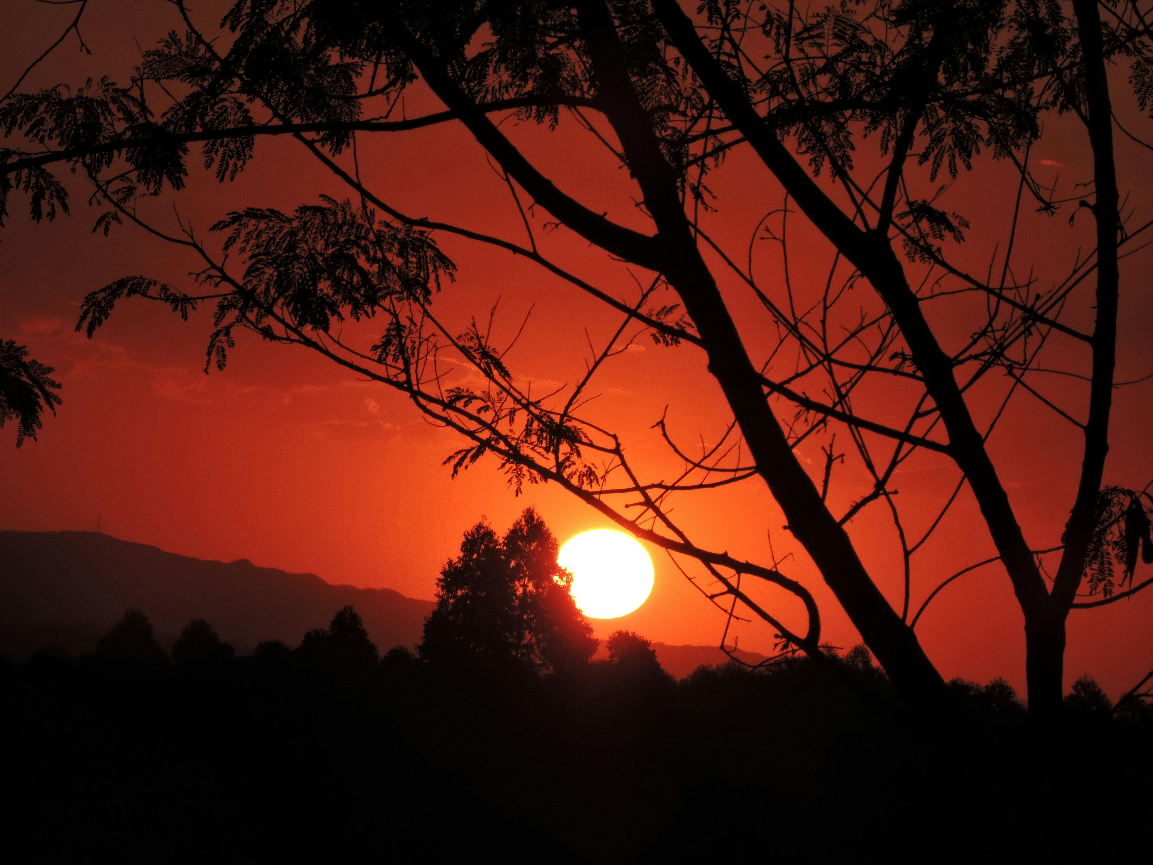 Game Image 2