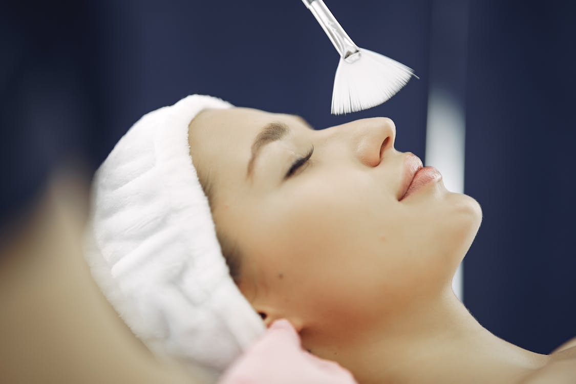 Plantas de interior em um ambiente sereno