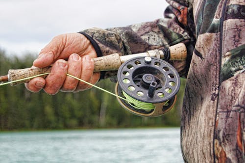 Fishing Reels Photos, Download The BEST Free Fishing Reels Stock Photos &  HD Images