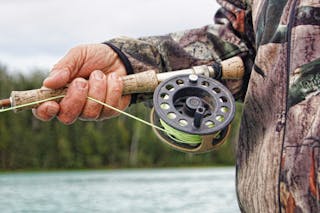Person Holding Fishing Rod