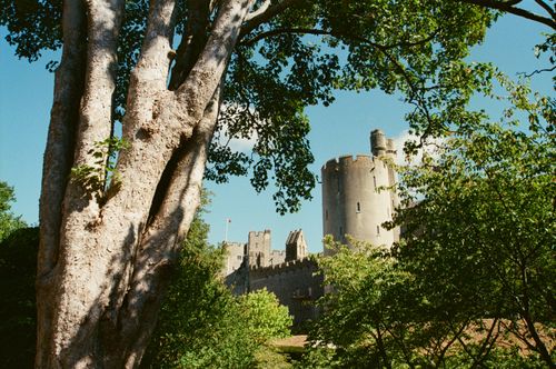 Free A stunning view of a historic castle through lush green foliage on a sunny day in England. Stock Photo