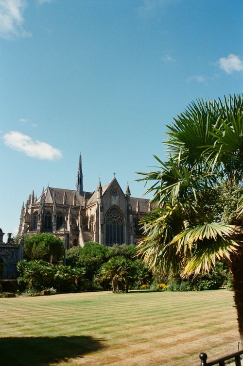 Free A picturesque Gothic cathedral surrounded by lush greenery and palm trees under a clear blue sky. Stock Photo