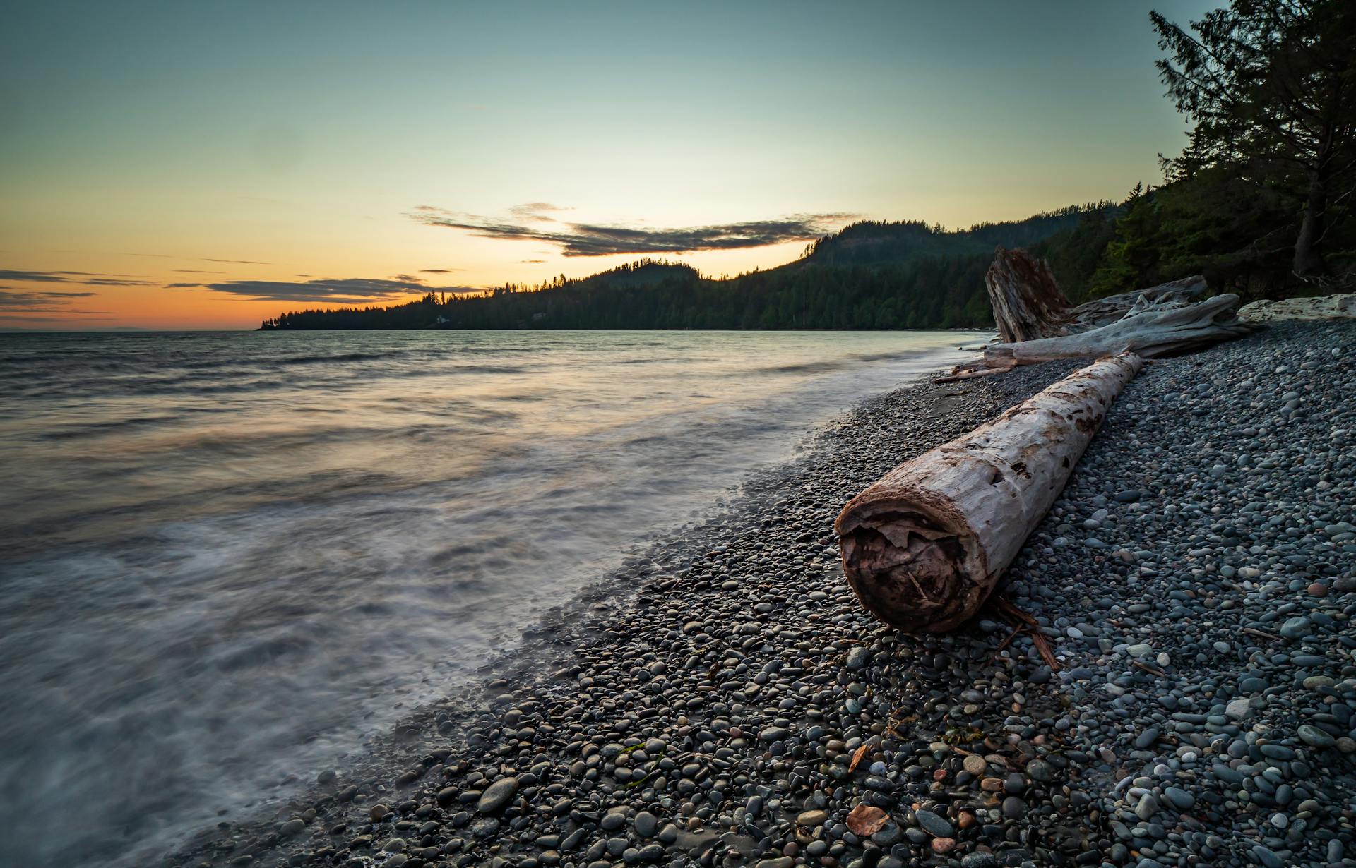 Discover tranquility with a sunset view of driftwood on a Vancouver Island beach.