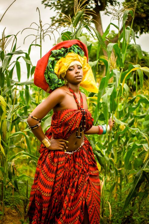 Free Vibrant portrait of a woman wearing traditional attire in a lush cornfield. Stock Photo
