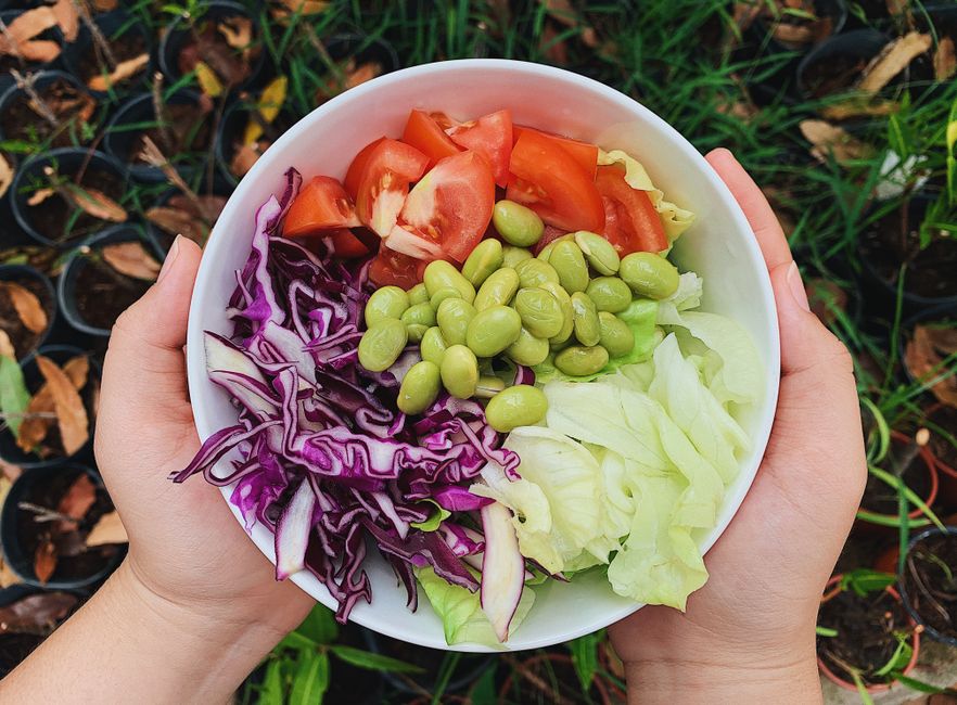healthy diet