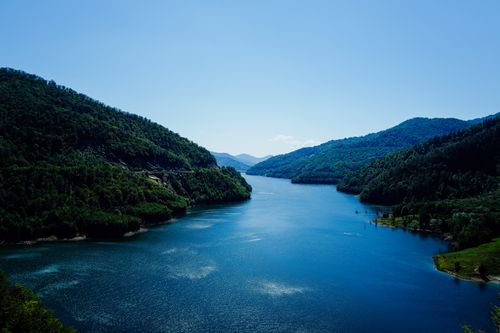Free Beautiful river flowing between forested mountains under a clear blue sky in summer. Stock Photo