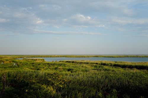 Free Beautiful view of a lush marshland under a partly cloudy blue sky. Stock Photo