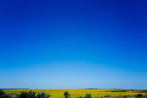Free Expansive summer field with bright blue sky, ideal for nature and landscape themes. Stock Photo