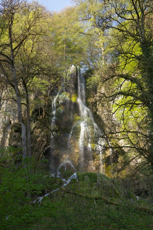 Free Stunning waterfall amid lush forest in Bad Urach, showcasing natural beauty and tranquility. Stock Photo