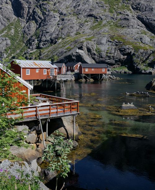 Free Red fishing huts by a serene fjord in Nusfjord, Norway, surrounded by rugged mountains. Stock Photo