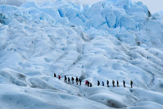 A group of hikers trekking across a vast icefield in Patagonia, Argentina, showcasing the stunning icy landscape.