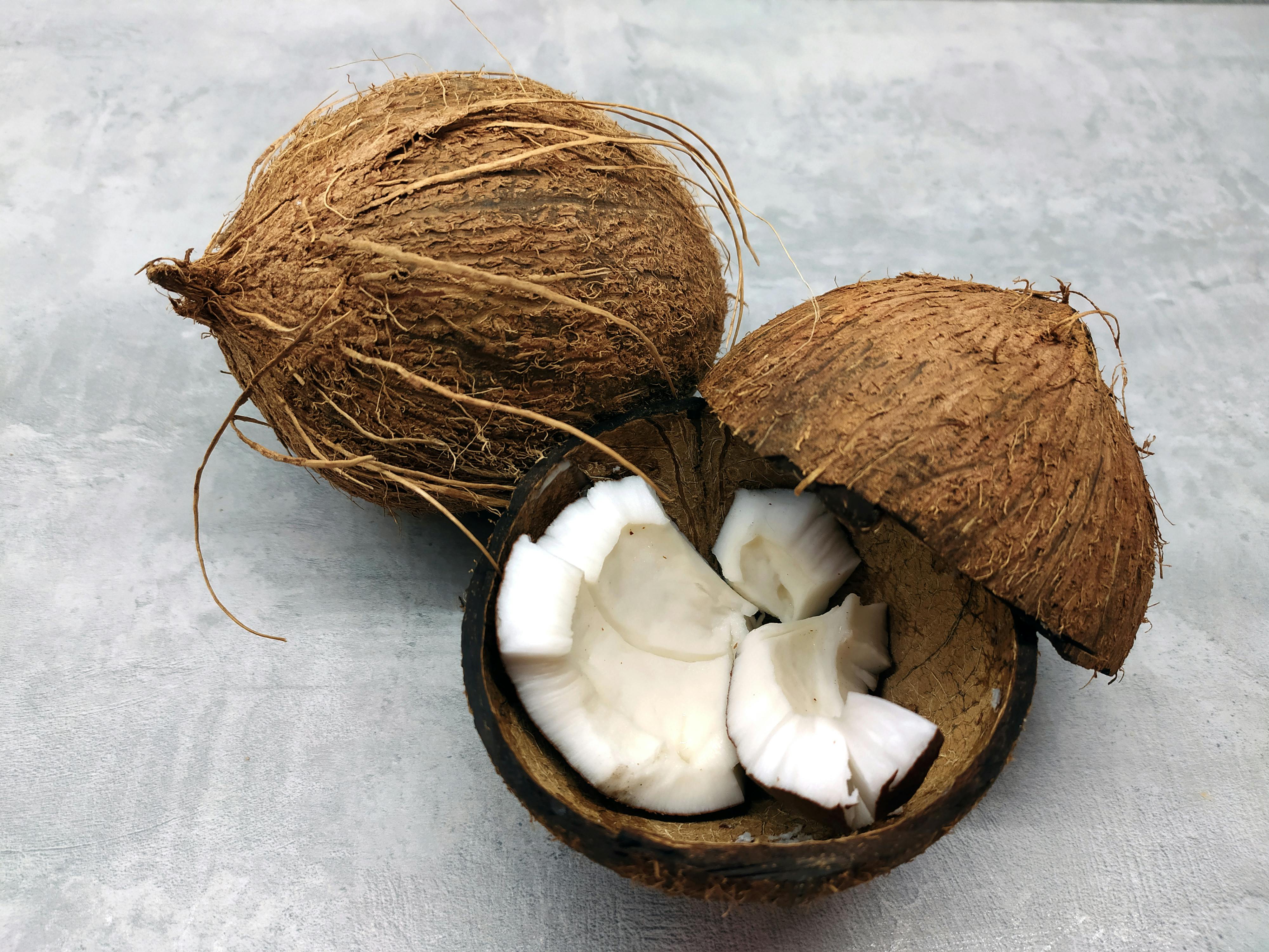 Brown Coconuts · Free Stock Photo