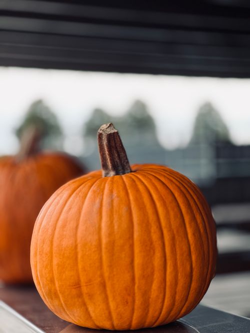 Free Vibrant orange pumpkin displayed on a table, perfect for fall-themed designs. Stock Photo