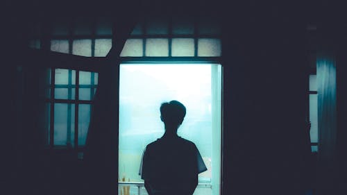 Free Silhouette Of Person Standing By The Door Stock Photo