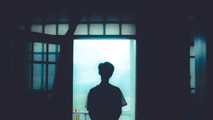 Silhouette Of Person Standing By The Door