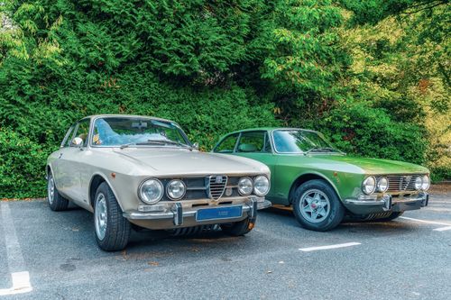 Free Two vintage Alfa Romeo cars parked outdoors against a lush green background. Stock Photo