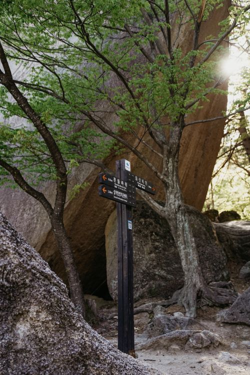 Free A peaceful forest scene in Sokcho-si, Korea, featuring a trail sign surrounded by rocks and trees. Stock Photo