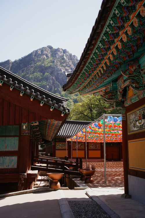 Free Peaceful scene of traditional temple architecture and mountains in Sokcho-si, South Korea. Stock Photo