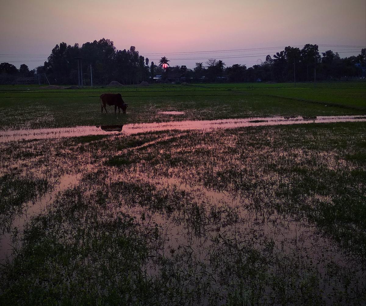 Well-organized home medicine cabinet with labeled containers