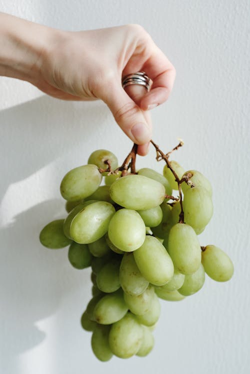 Person Holding Green Round Fruits