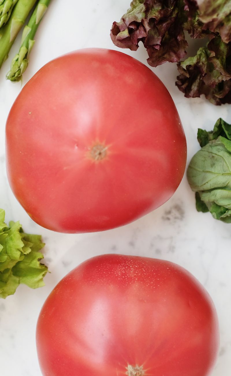 Best High-Protein Foods for Building an Aesthetic Physique (2026)