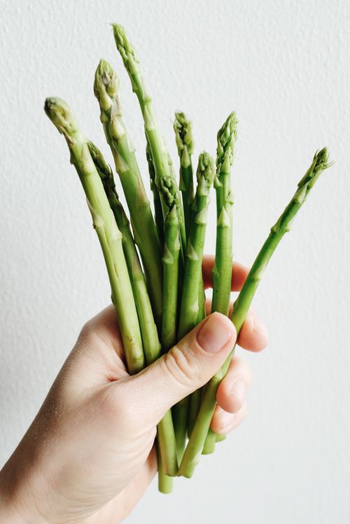 Free Close-up of a hand holding fresh green asparagus, highlighting organic food and healthy eating. Stock Photo