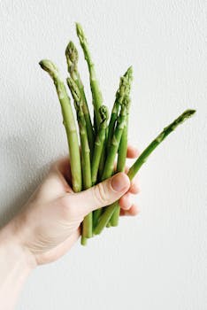 Close-up of fresh green asparagus held in hand, perfect for healthy cooking concepts.