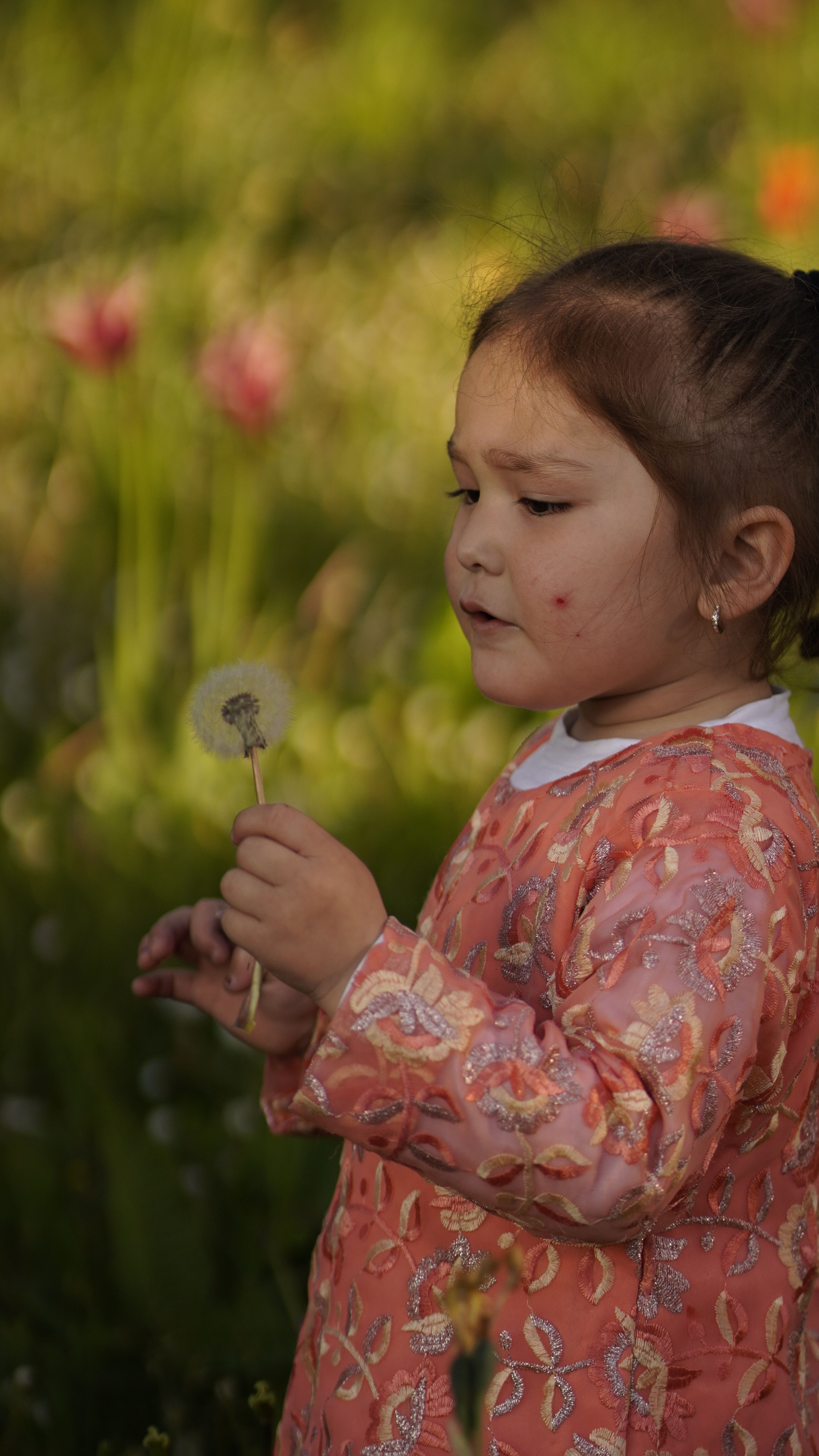 A young girl holds a dandelion in a garden, ready to make a wish.