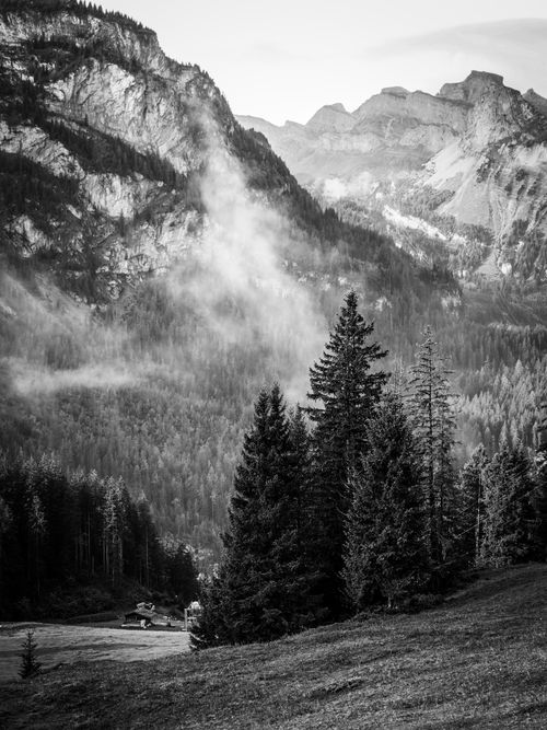 Free Breathtaking black and white view of mountainous landscape with dense forest and mist. Stock Photo