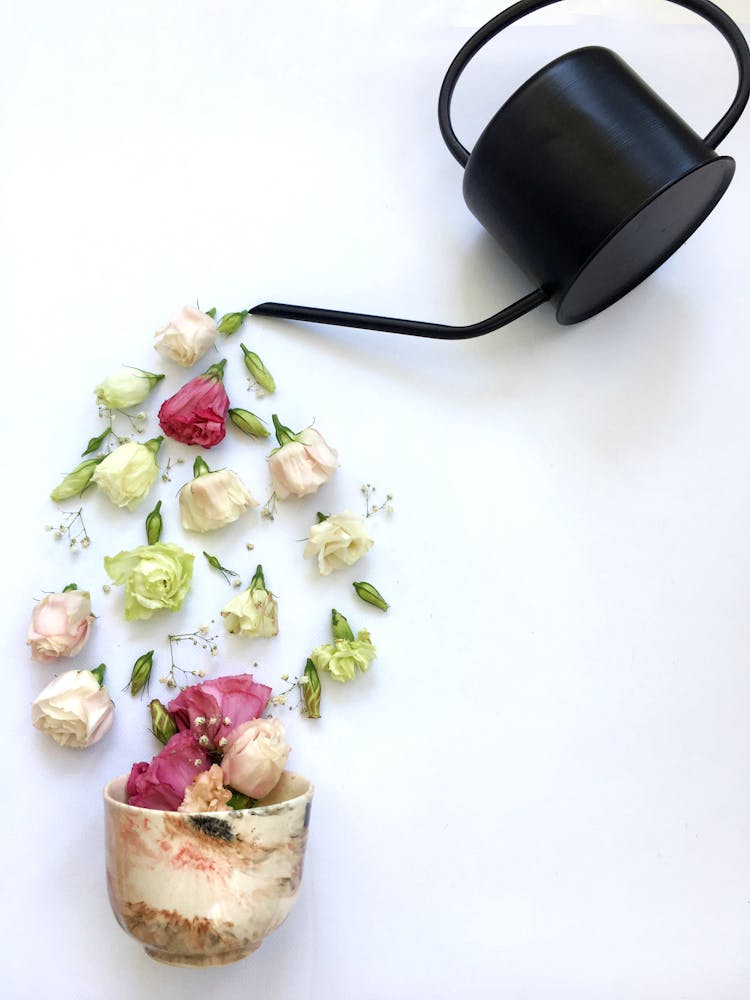 Black Watering Can With Rose Flowers