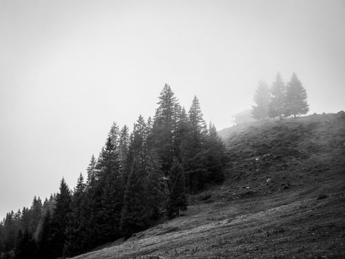 Free Black and white image of a foggy hill with pine trees and a cabin, exuding a moody atmosphere. Stock Photo