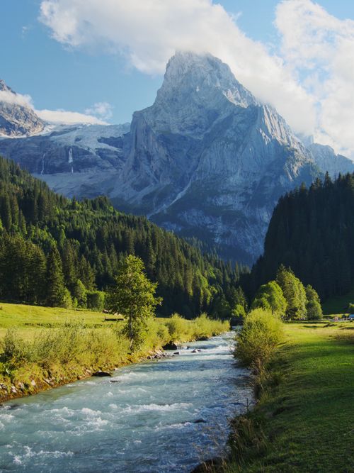 Free Stunning view of an alpine mountain with a flowing river, lush forest, and clear sky. Stock Photo