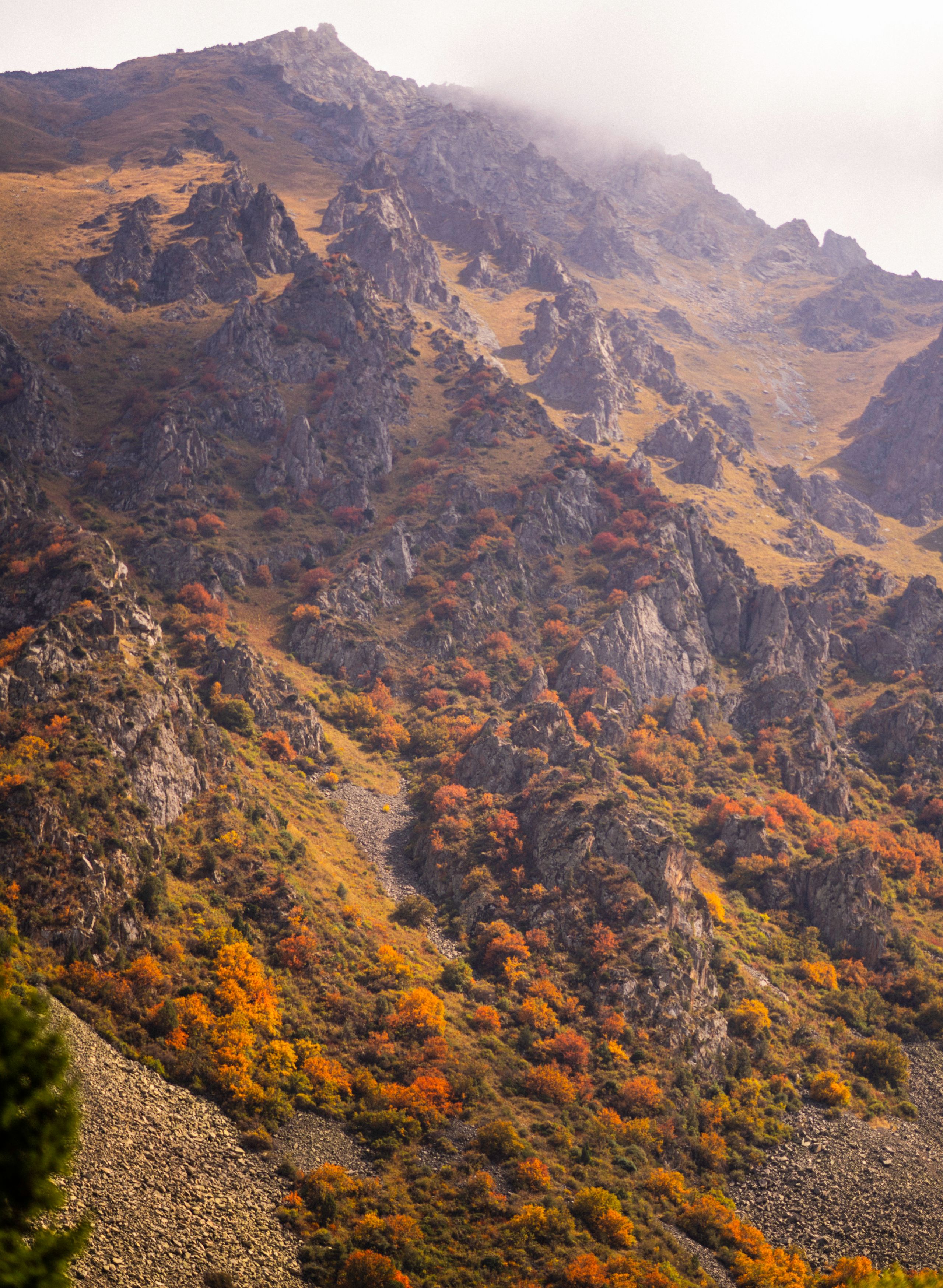 A vibrant autumn view of roc