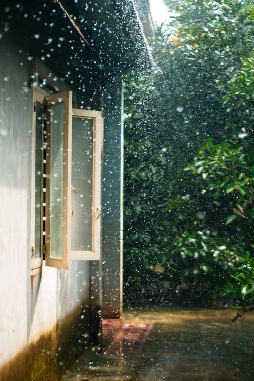 Free Raindrops cascade outside an open window with lush greenery visible. Stock Photo
