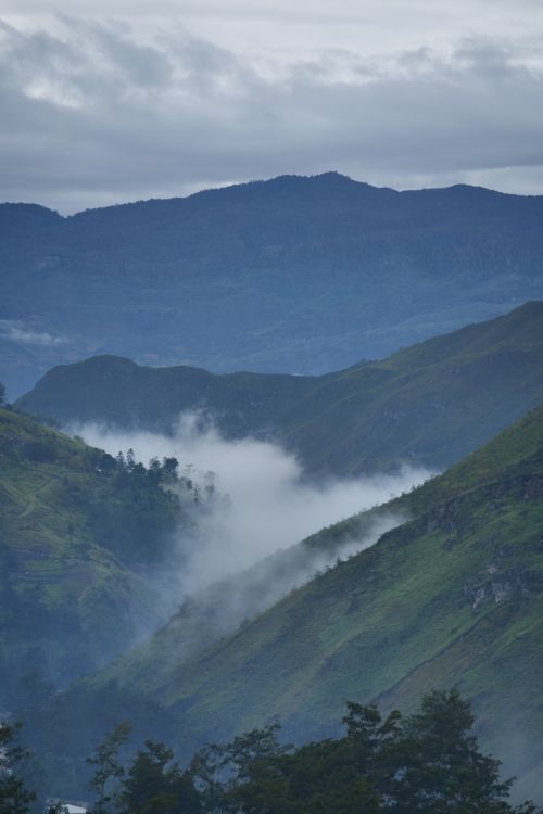 Free Stunning misty view of the lush Highlands in Papua, Indonesia. Stock Photo
