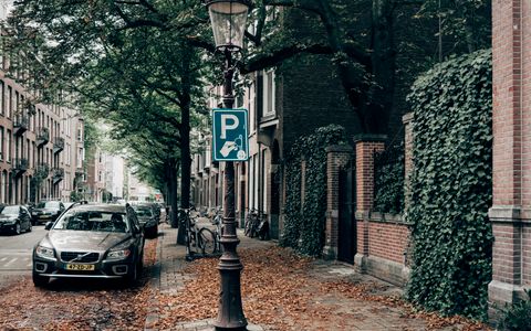 Cars parked along a quiet tree-lined residential street